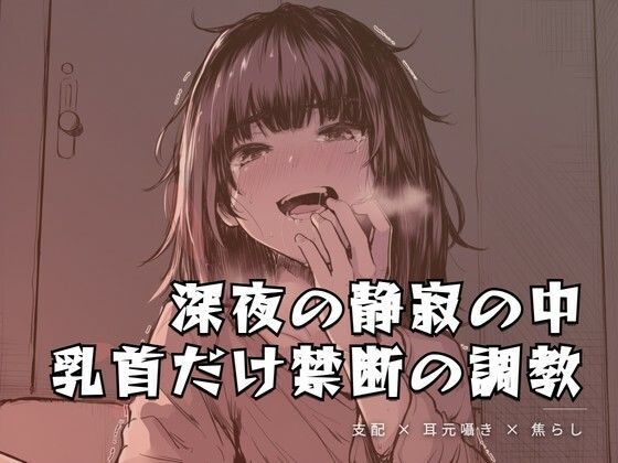 深夜の静寂の中、乳首だけを嬲る禁断の調教
