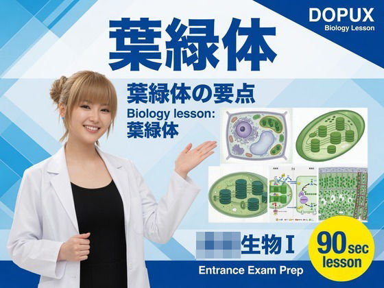 【▲20】一ノ瀬廻里 大学に進学し強豪予備校『DOPUX（ドピュックス』で生物I，IIを教える名物講師に！（Vol.005:葉緑体）